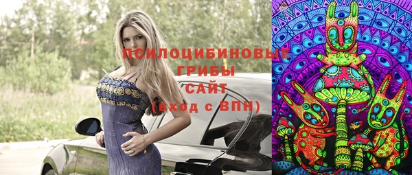 винт Алзамай